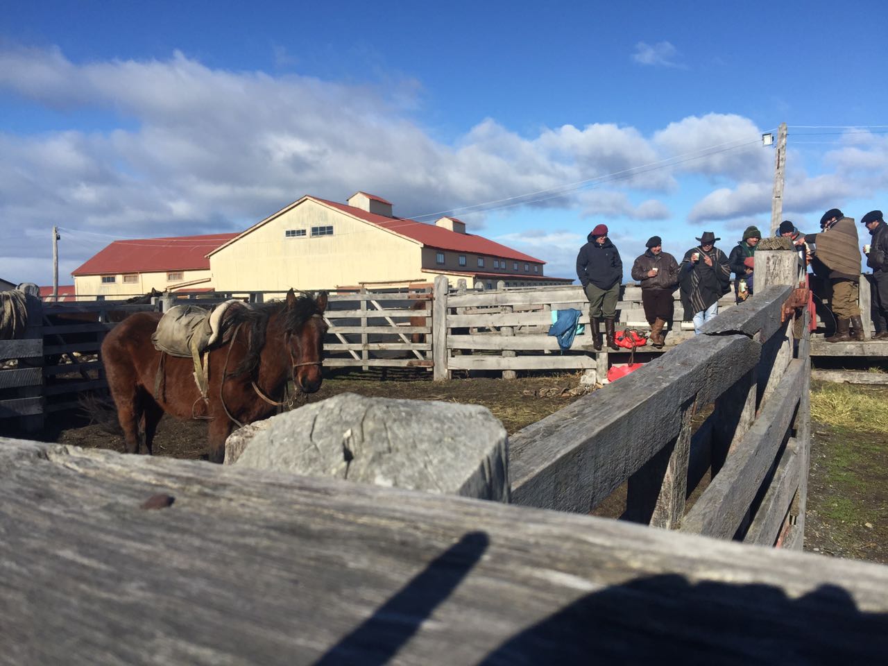 WhatsApp Image 2017-09-04 at 11.24.16 AM.jpeg