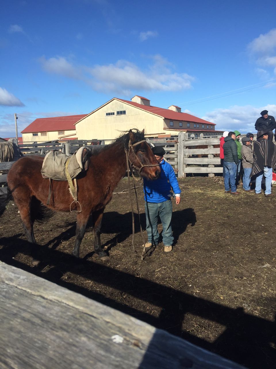 WhatsApp Image 2017-09-04 at 11.24.17 AM (1).jpeg