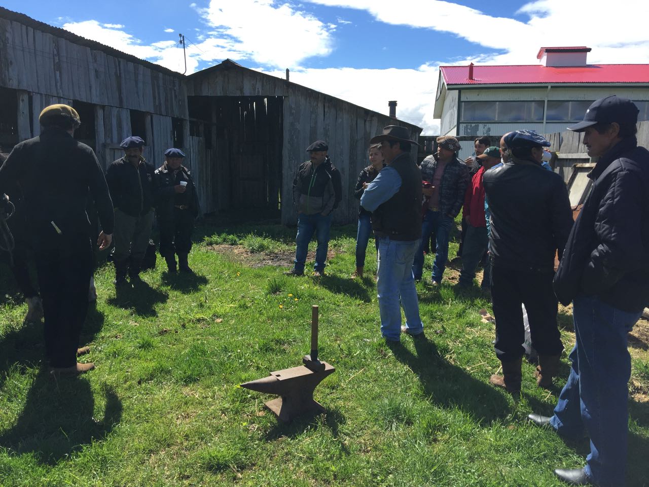 WhatsApp Image 2017-11-13 at 10.54.44 AM (1).jpeg