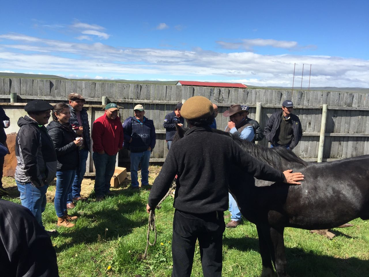 WhatsApp Image 2017-11-13 at 10.54.44 AM.jpeg