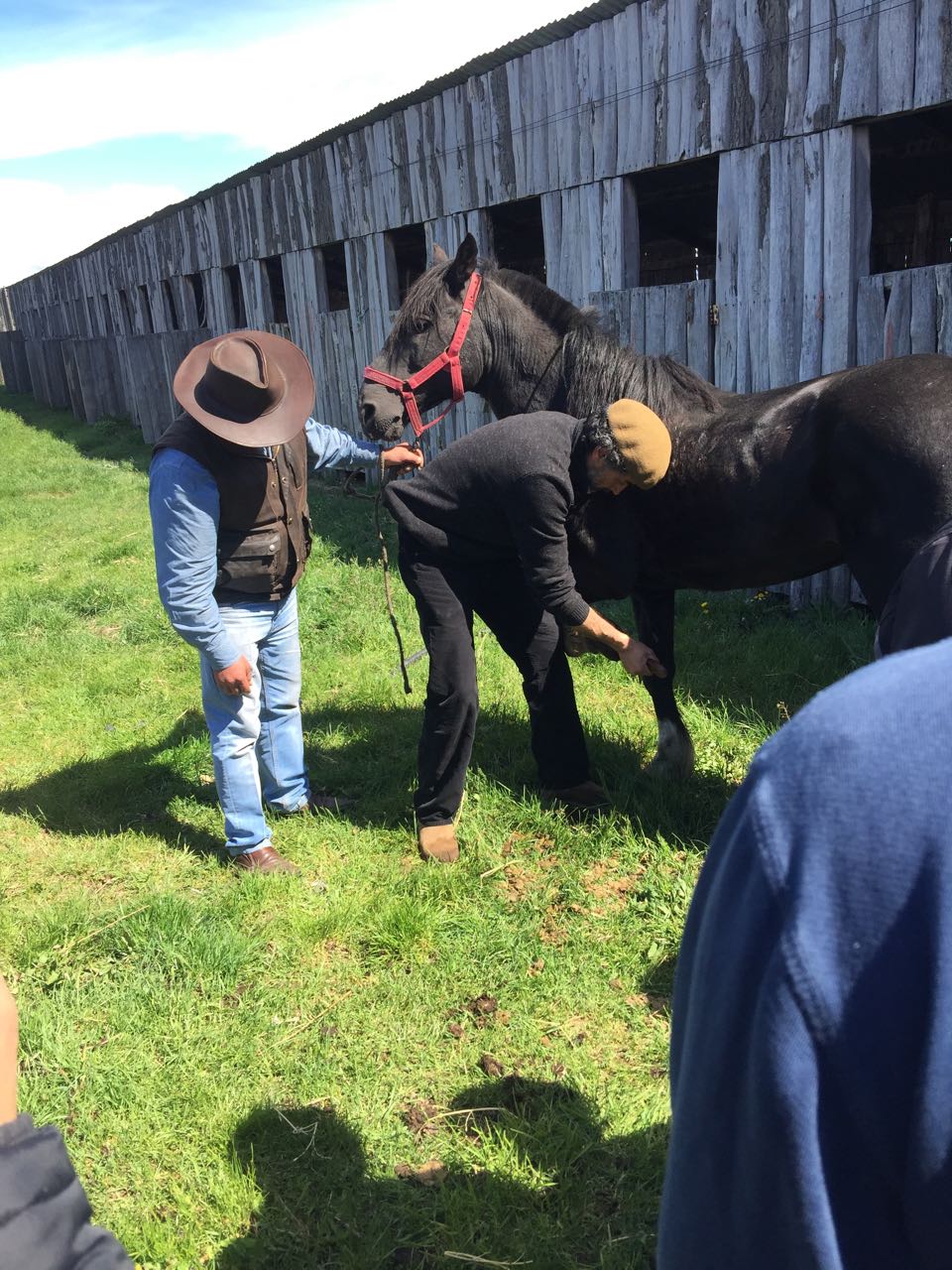 WhatsApp Image 2017-11-13 at 10.54.45 AM.jpeg