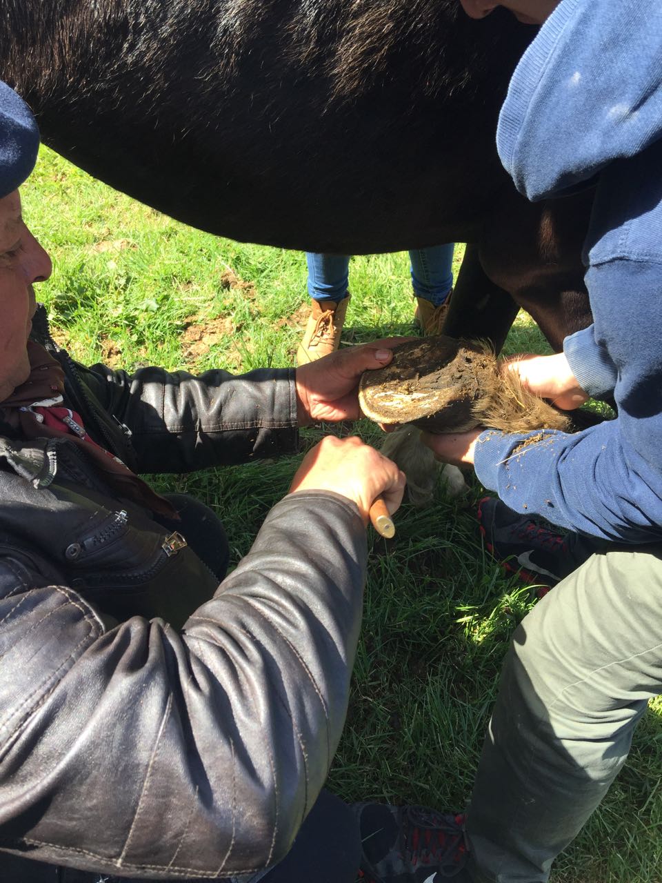 WhatsApp Image 2017-11-13 at 10.54.46 AM.jpeg