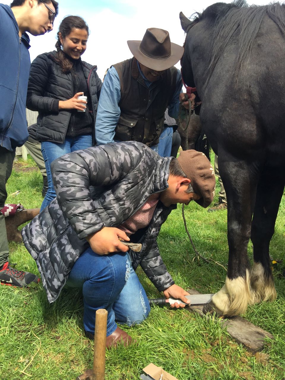 WhatsApp Image 2017-11-13 at 10.54.50 AM (1).jpeg