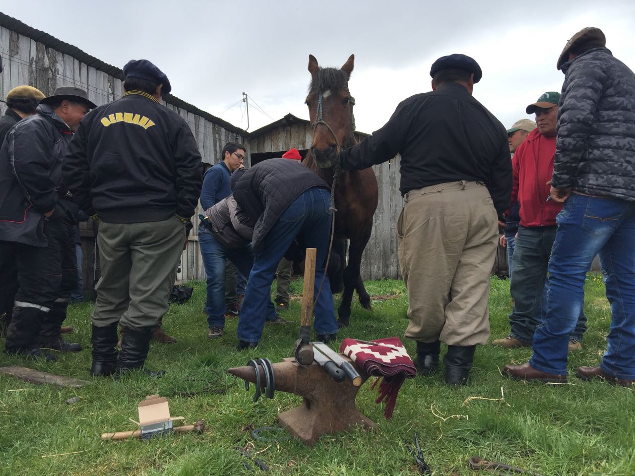 WhatsApp Image 2017-11-13 at 10.54.51 AM.jpeg