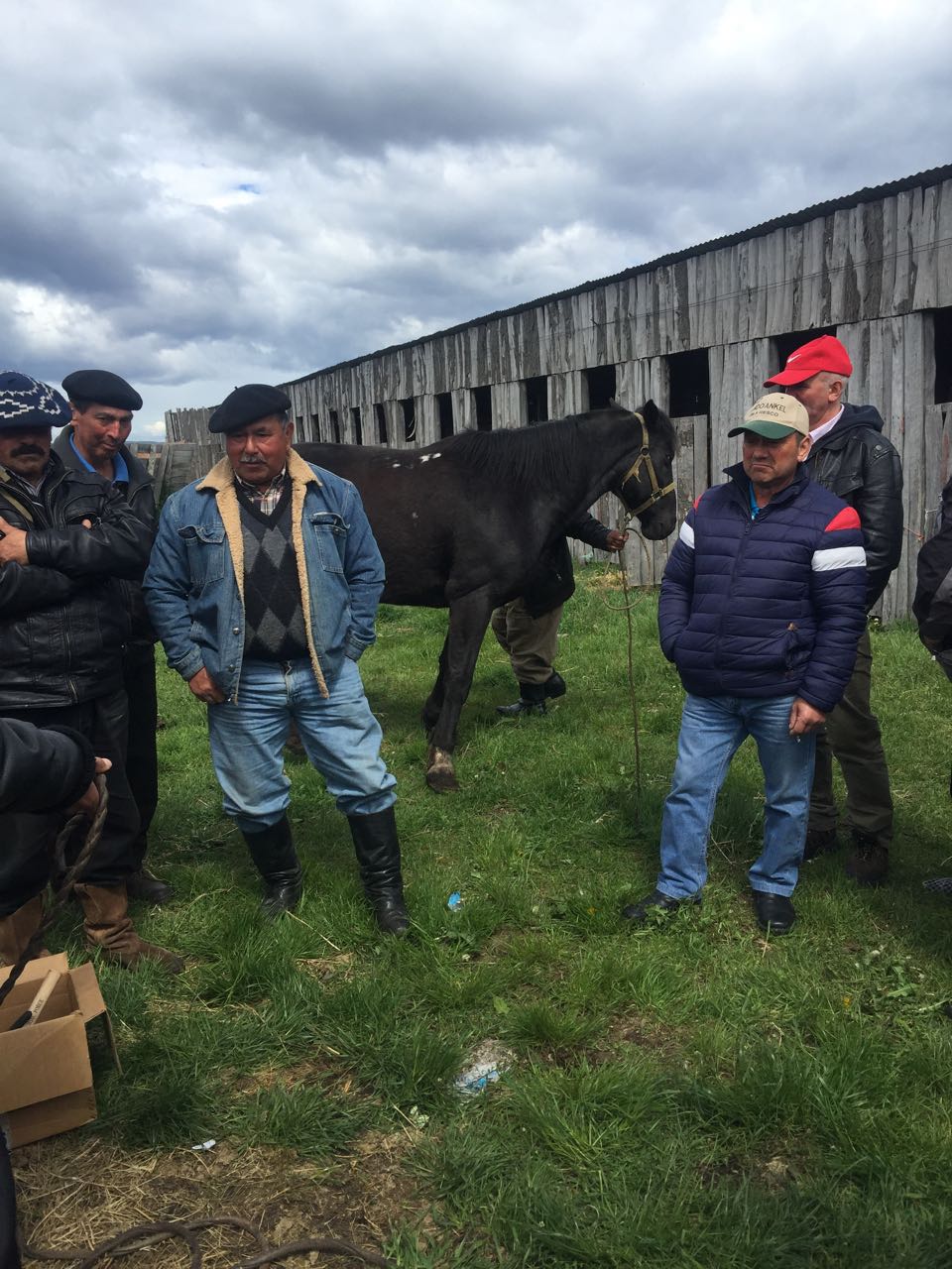 WhatsApp Image 2017-11-13 at 10.54.52 AM (1).jpeg