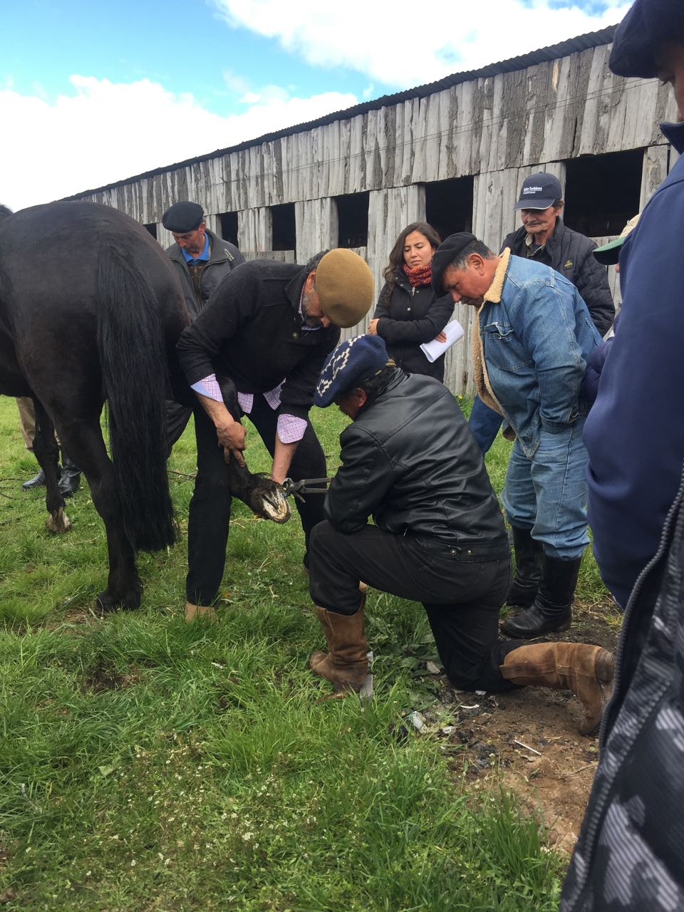 WhatsApp Image 2017-11-13 at 10.54.53 AM.jpeg