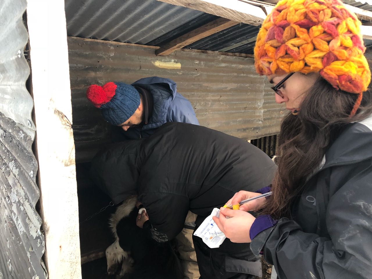 WhatsApp Image 2018-07-26 at 12.45.45 PM.jpeg