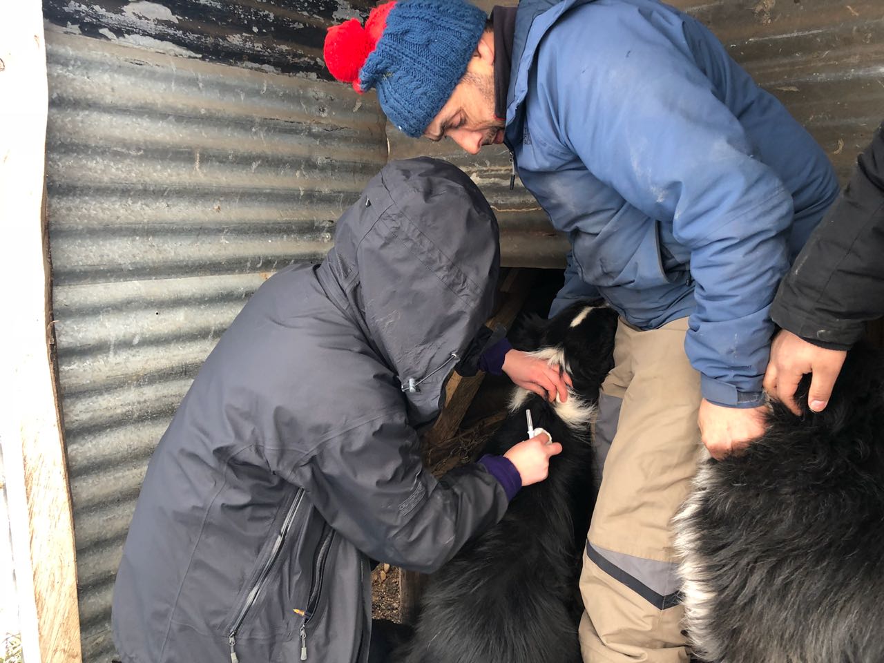 WhatsApp Image 2018-07-26 at 12.45.46 PM(1).jpeg