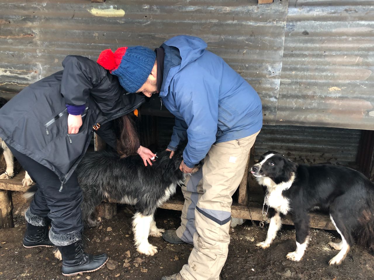 WhatsApp Image 2018-07-26 at 12.45.46 PM(2).jpeg