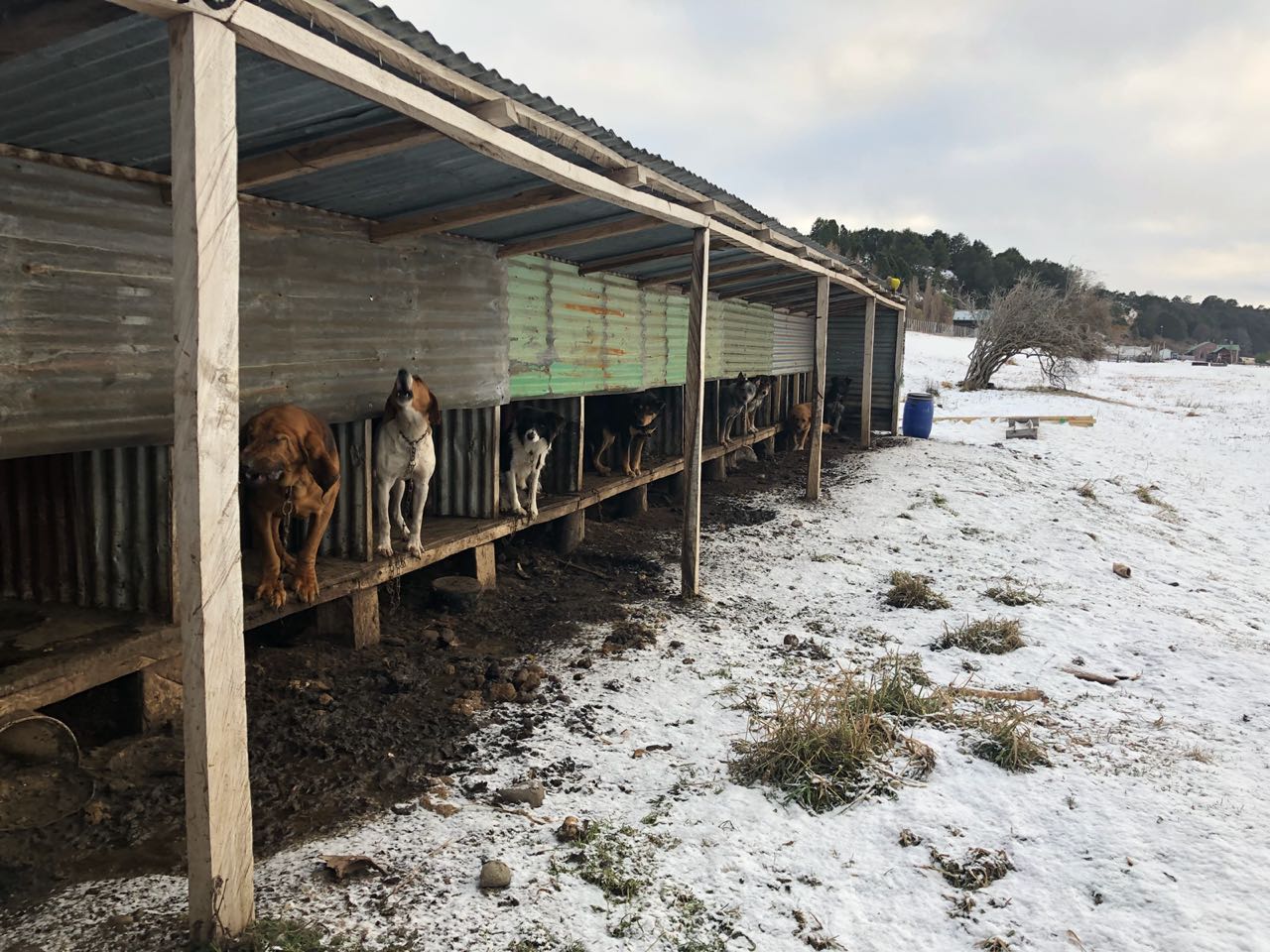 WhatsApp Image 2018-07-26 at 12.45.46 PM.jpeg