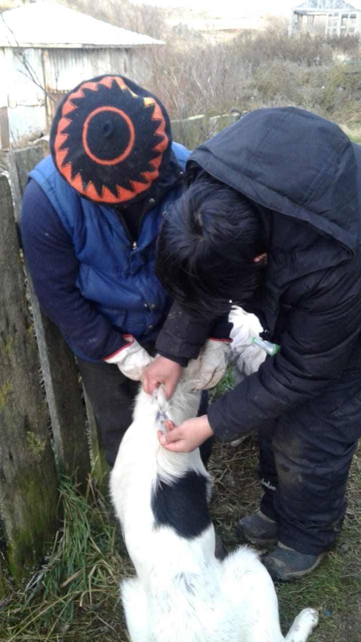 WhatsApp Image 2018-07-26 at 12.46.01 PM(1).jpeg