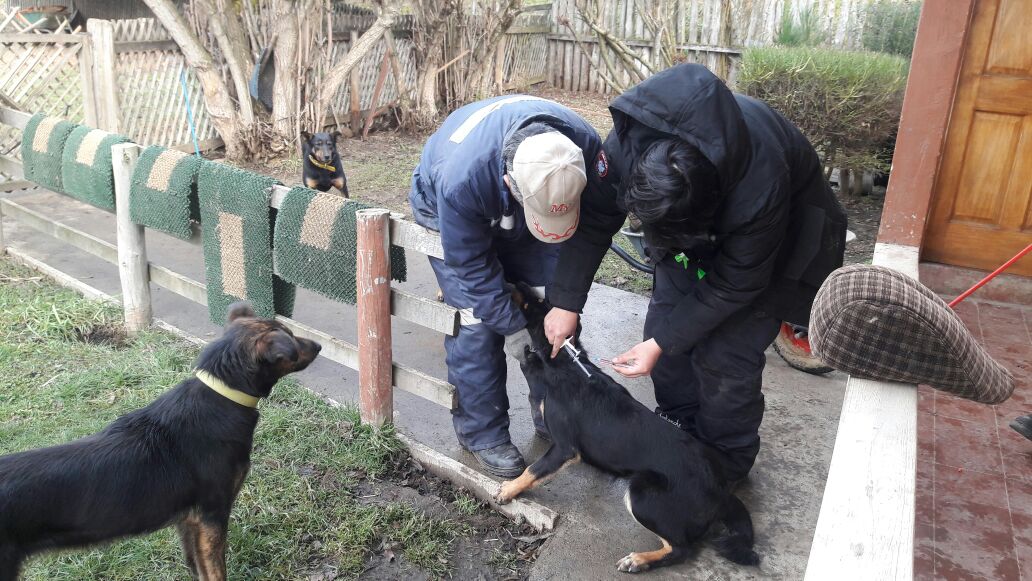 WhatsApp Image 2018-07-26 at 12.46.02 PM.jpeg